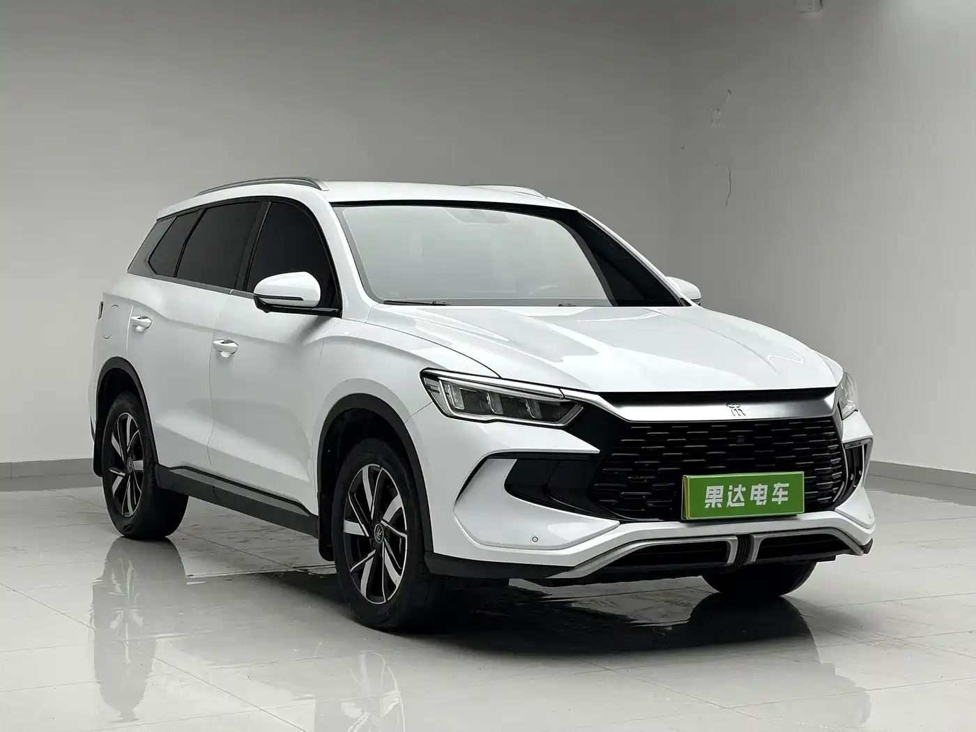 BYD Song Pro New Energy 2024 Glory Edition DM-i 71KM Pilot фото 3