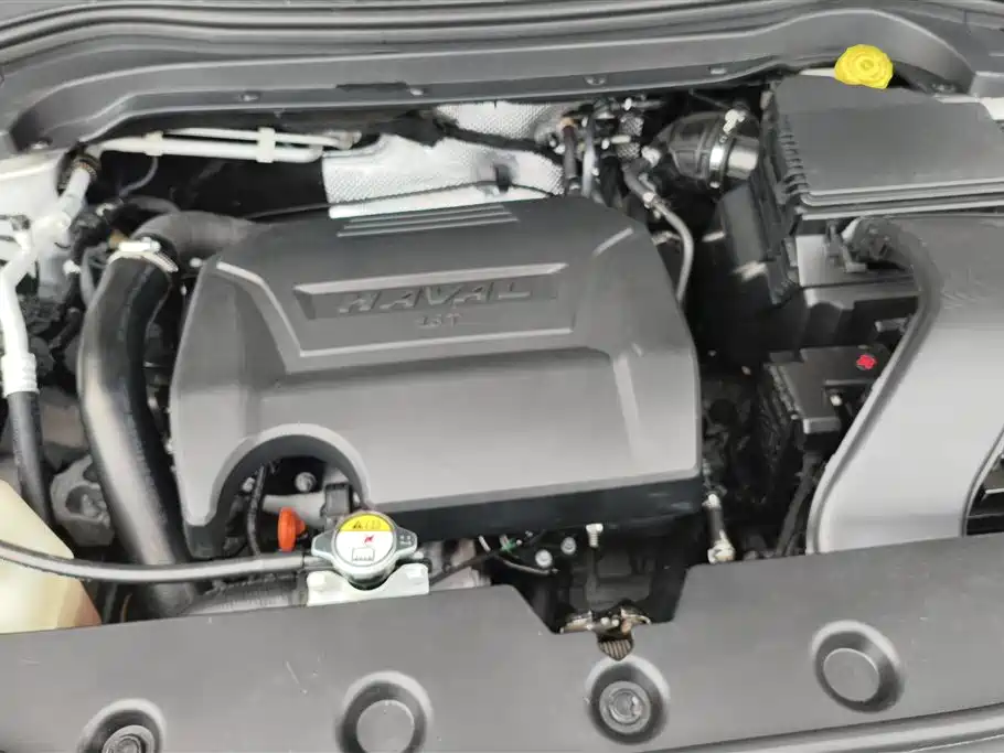 Haval H2s 2018 Red Label 1.5T DCT Luxury Model фото 10