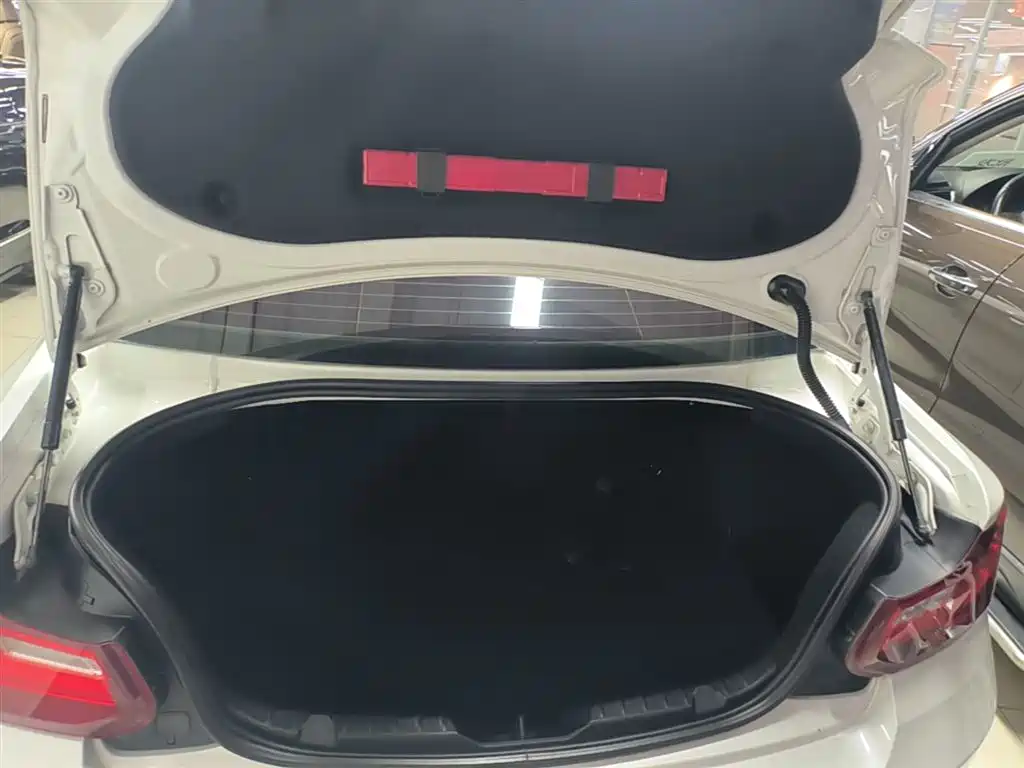 BMW 2 Series (Import) 2015 218i фото 19