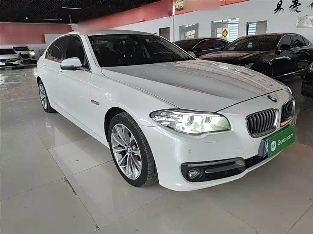 BMW 5 Series 2014 520Li Elegance фото 4