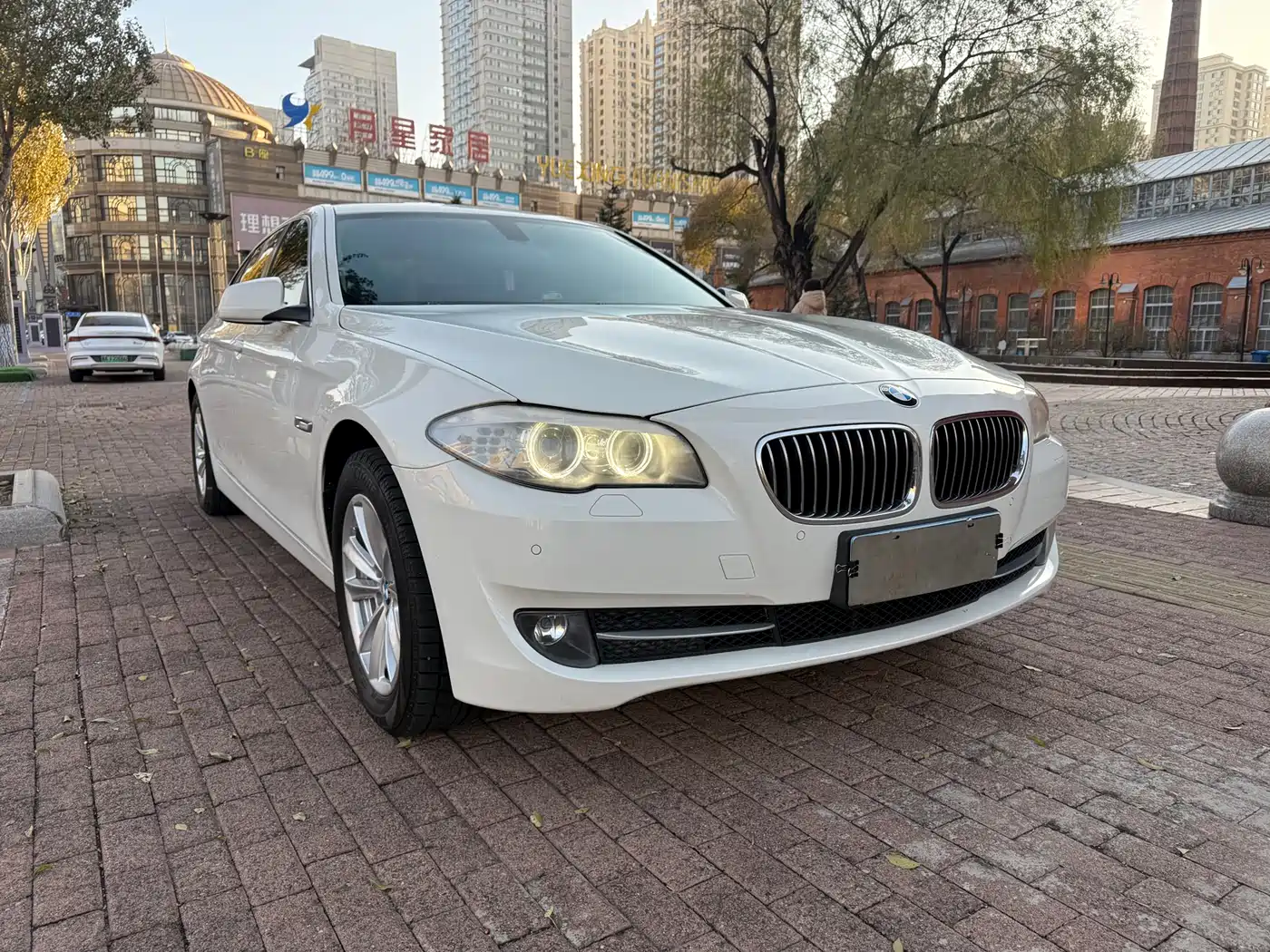 BMW 5 Series 2013 525Li Leadership фото 3