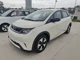 Фото 1 - BYD Dolphin