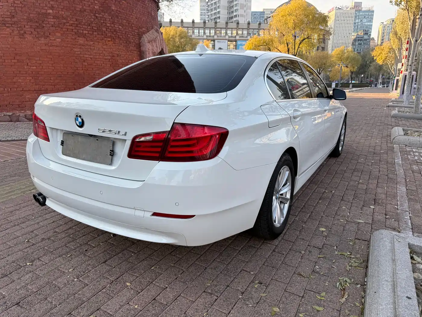 BMW 5 Series 2013 525Li Leadership фото 5