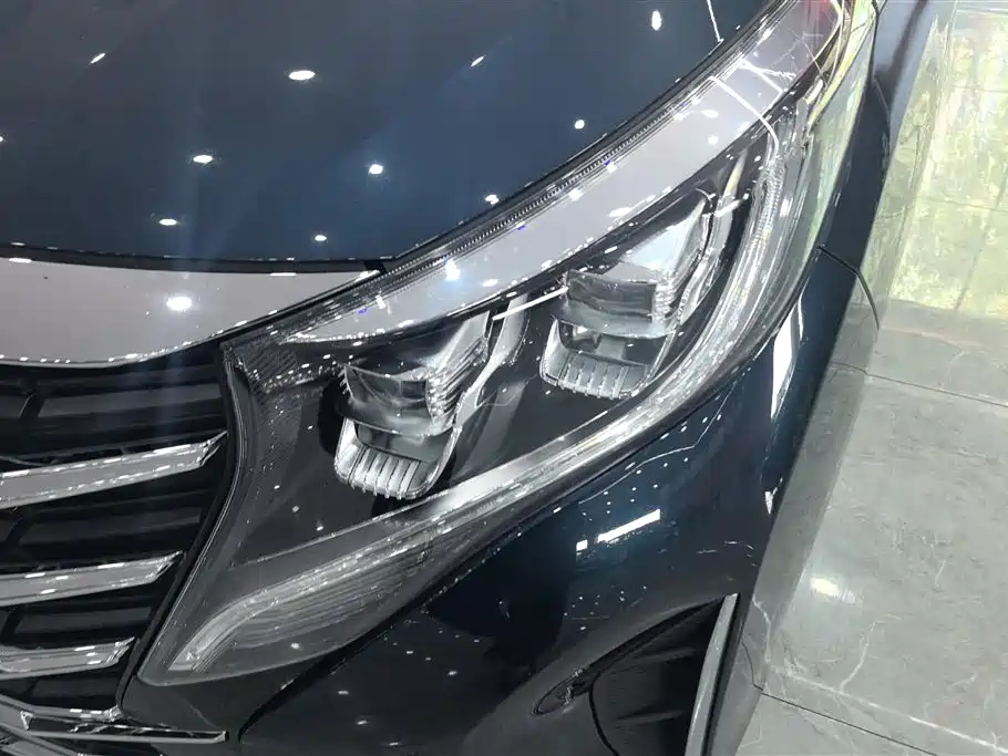 GAC Trumpchi Trumpchi M8 2021 Leading Show Series 390T Prestige Edition фото 5