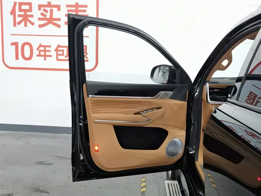 Tank 500 EV 2023 Hi4-T фото 8