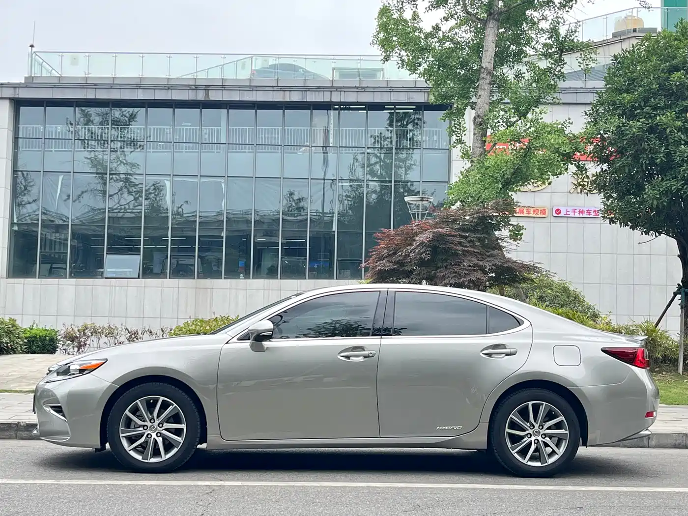 Lexus ES 2015 300h Comfort Edition фото 3
