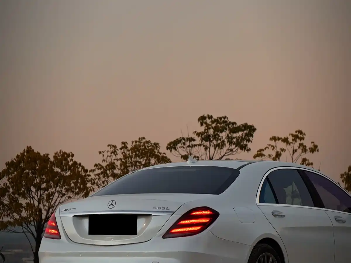 Mercedes-Benz S-Class AMG 2014 AMG S 65 L фото 5