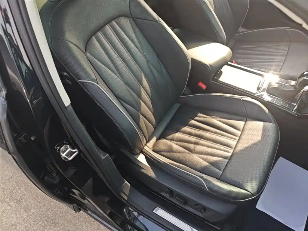 Volkswagen Passat 2023 330TSI Starlight Luxury Edition фото 25