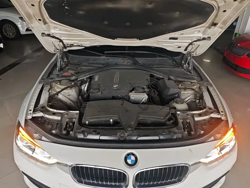 BMW 3 Series 2016 320i Fashion Model фото 20