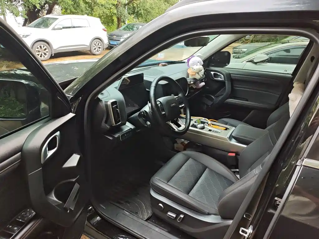 Haval Big Dog 2025 2024 1.5T DCT Border Collie Edition