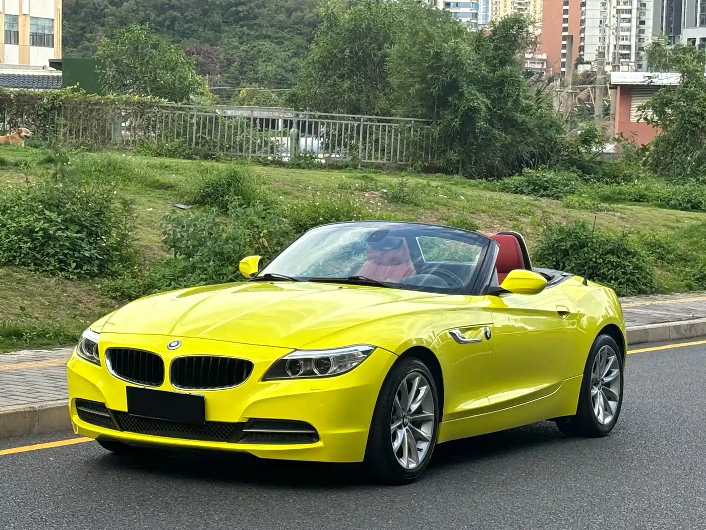 BMW Z4 2013 sDrive20i Leading фото 2