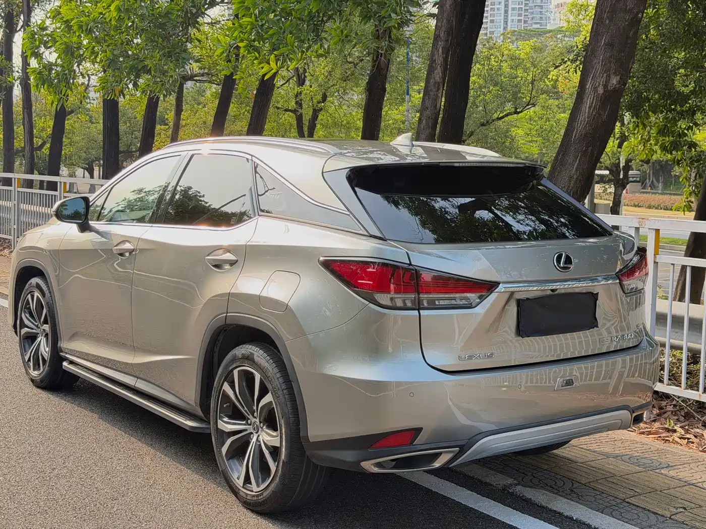 LEXUS RX