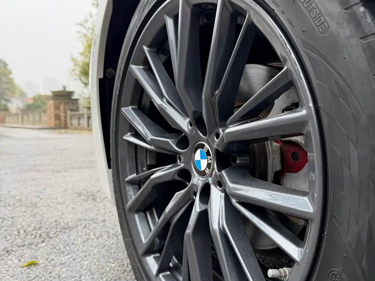 BMW 3 Series 2020 325Li M Sport Black Night Package фото 16