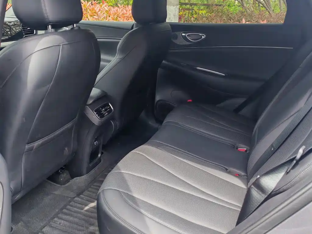 BYD Sealion 06 New Energy 2025 DM-i 170 Pilot Plus Edition фото 15