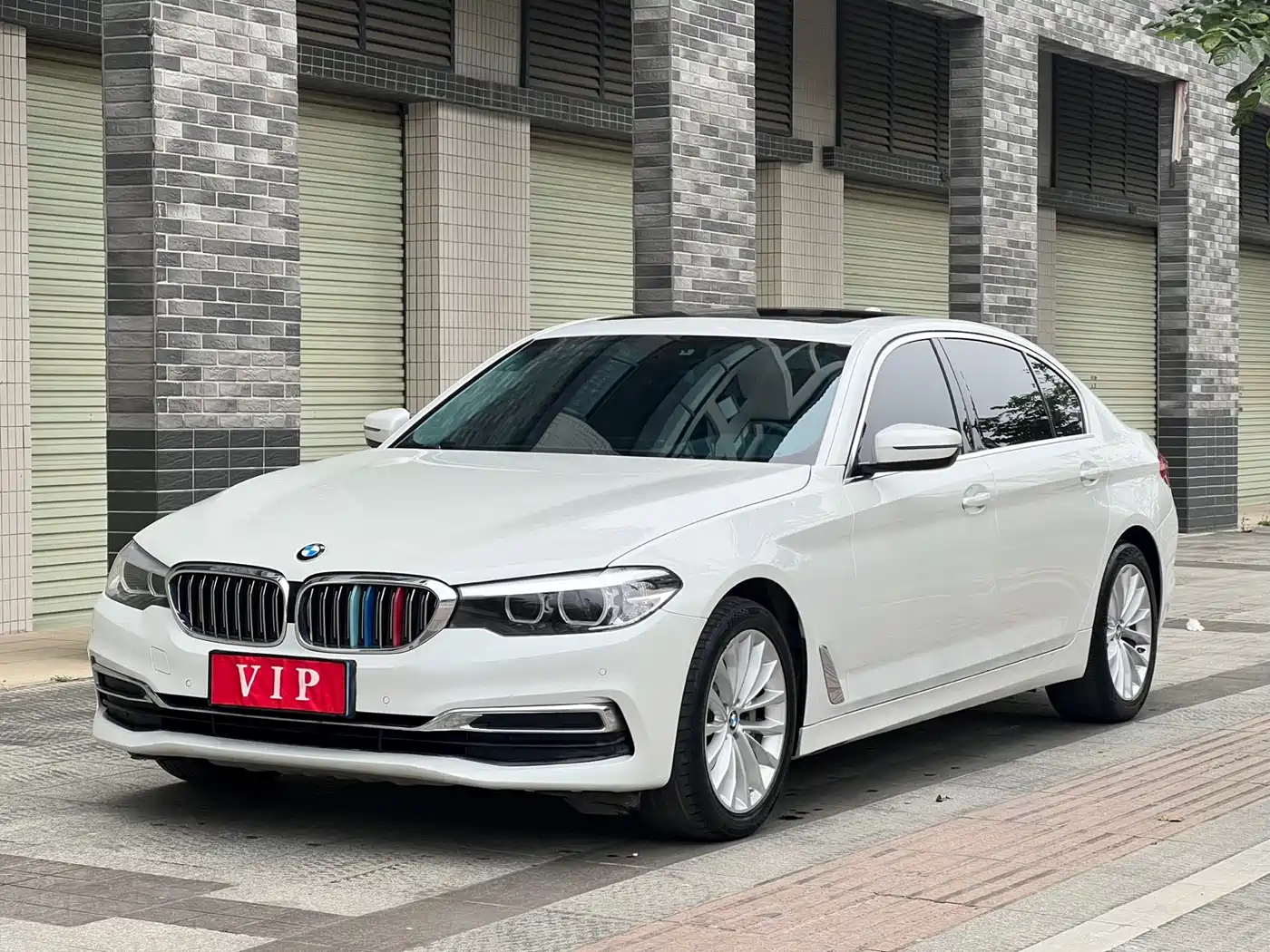 BMW 5 Series 2019 530Li Leading Luxury Package