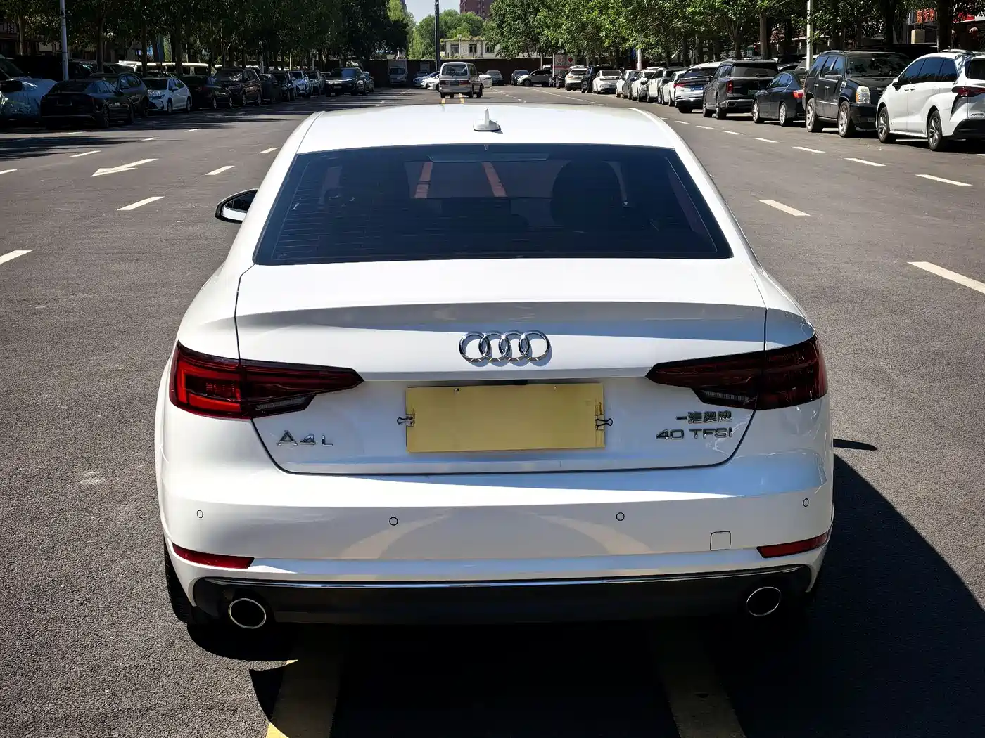 Audi A4L 2018 30th Anniversary 40 TFSI Progressive фото 11