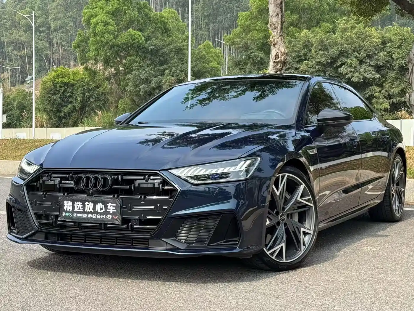 Audi A7L 2022 55 TFSI quattro S-line edition one Pioneer Edition