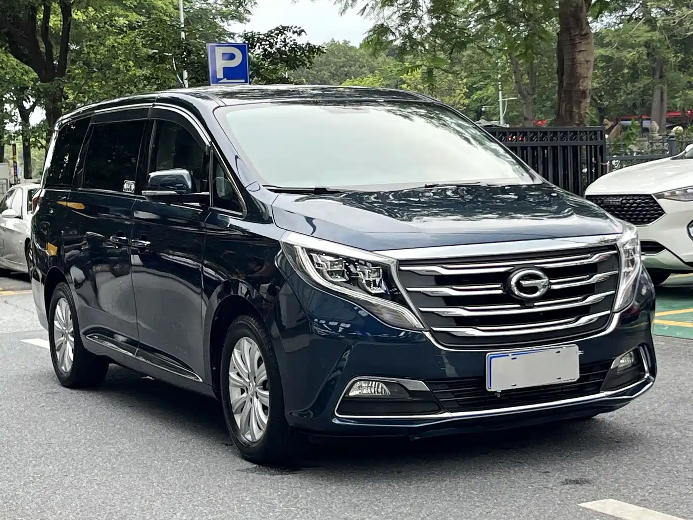 GAC Trumpchi Trumpchi M8 2018 320T Exclusive Edition фото 2