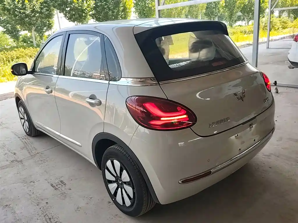 Фото 5 - Wuling Motors Wuling Bingo
