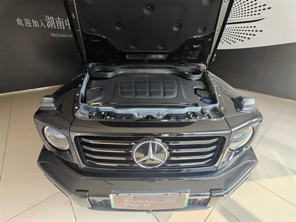 MERCEDES-BENZ G CLASS NEW ENERGY