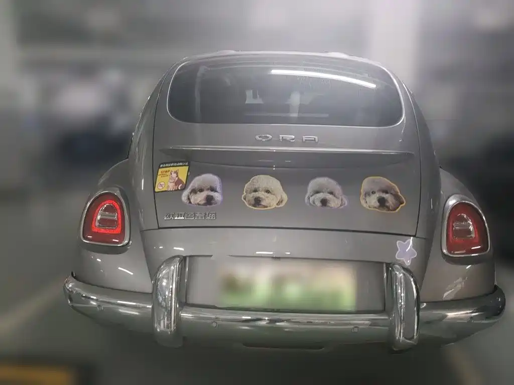 Ora Ballet Cat 2024 2023 401km Premium Model