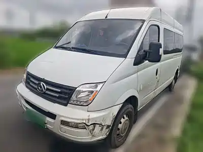 Maxus New V80