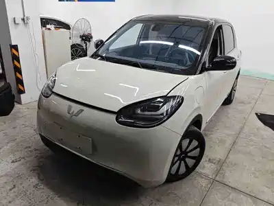 Wuling Bingo
