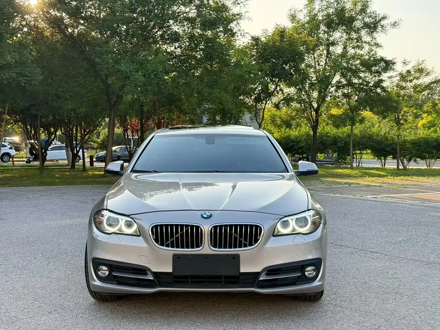 BMW 5 Series 2014 525Li Leading фото 2