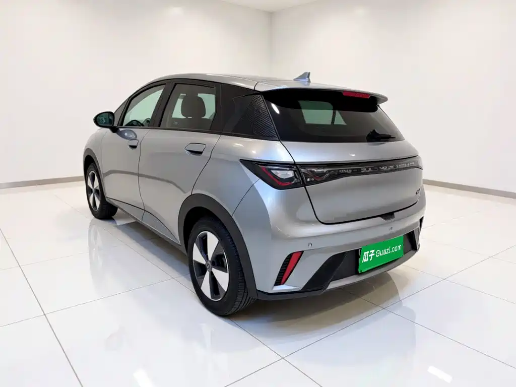 Фото 4 - BYD Dolphin