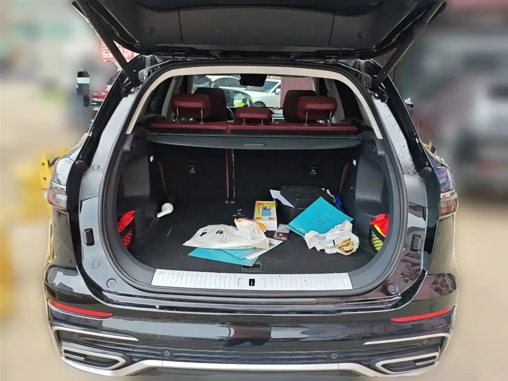 Hongqi HS5 2023 2.0T Flag Enjoy Pro Edition фото 16