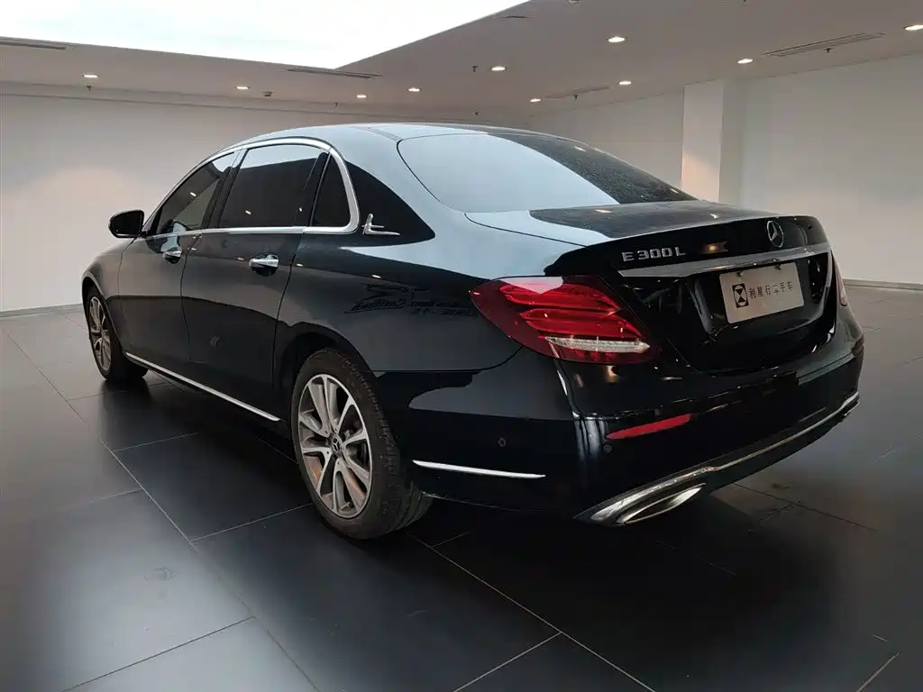 Mercedes-Benz E-Class 2019 E 300 L Fashion фото 5
