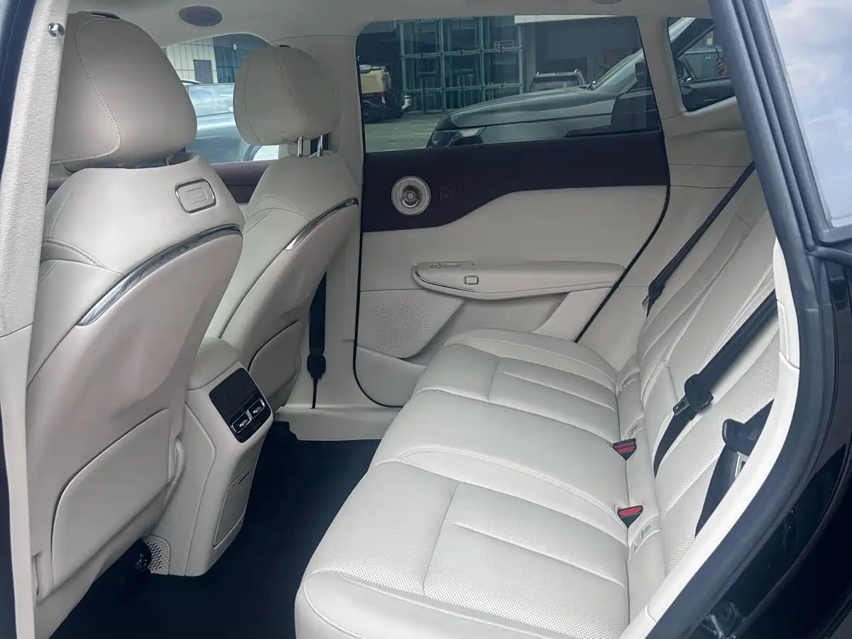 Voyah Auto Voyah Zhiyin 2025 Base фото 8