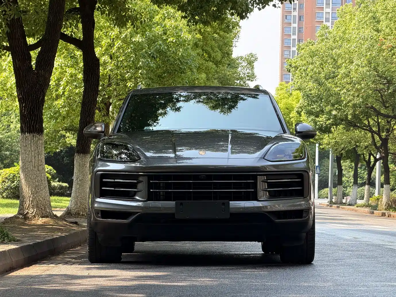 Porsche Cayenne 2024 Cayenne 3.0T фото 2