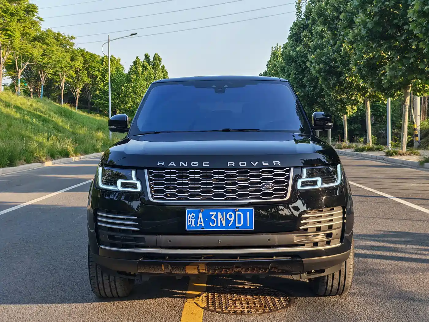Land Rover Range Rover 2015 3.0 TDV6 Vogue фото 2