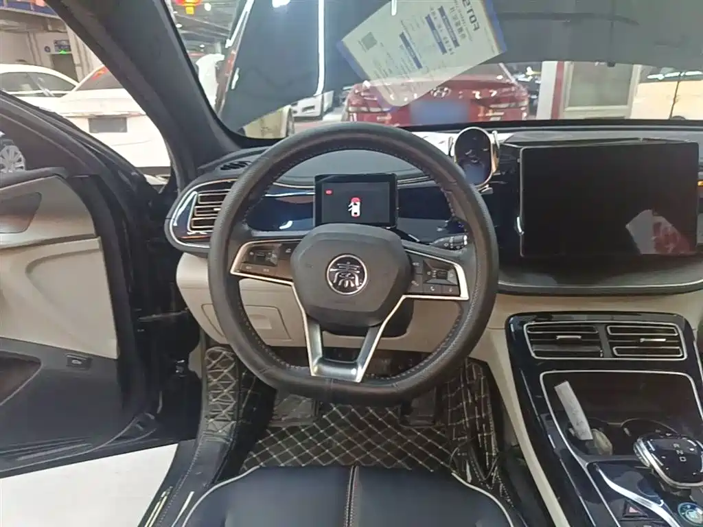 BYD Qin PLUS 2021 DM-i 55KM Flagship фото 10