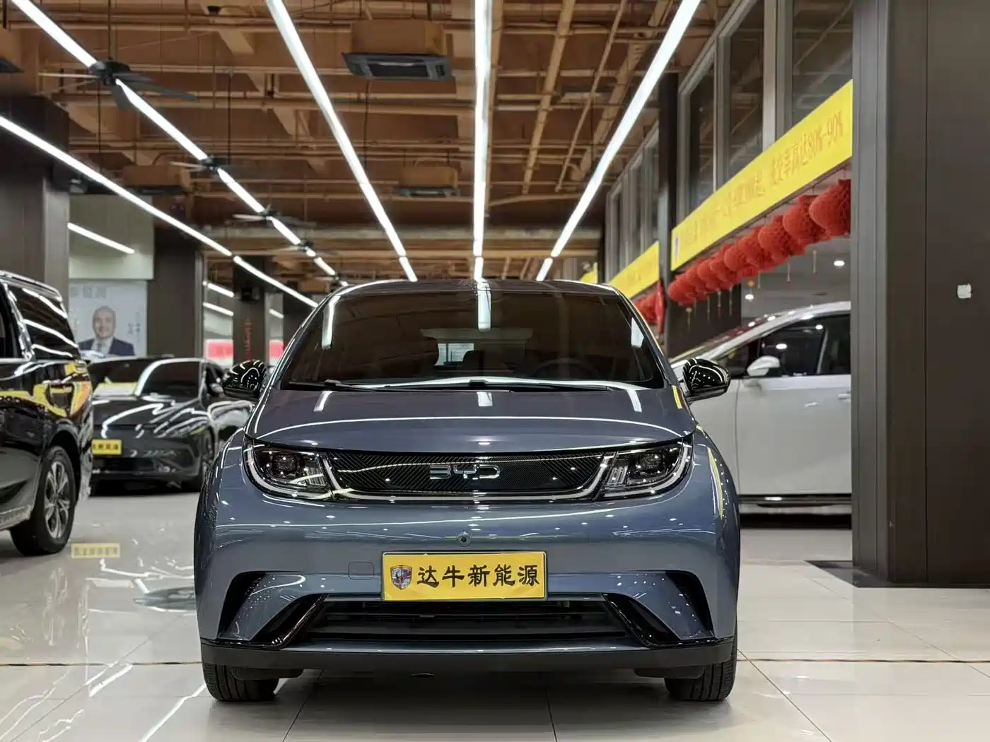 BYD Dolphin 2026 2025 420km Freedom Edition