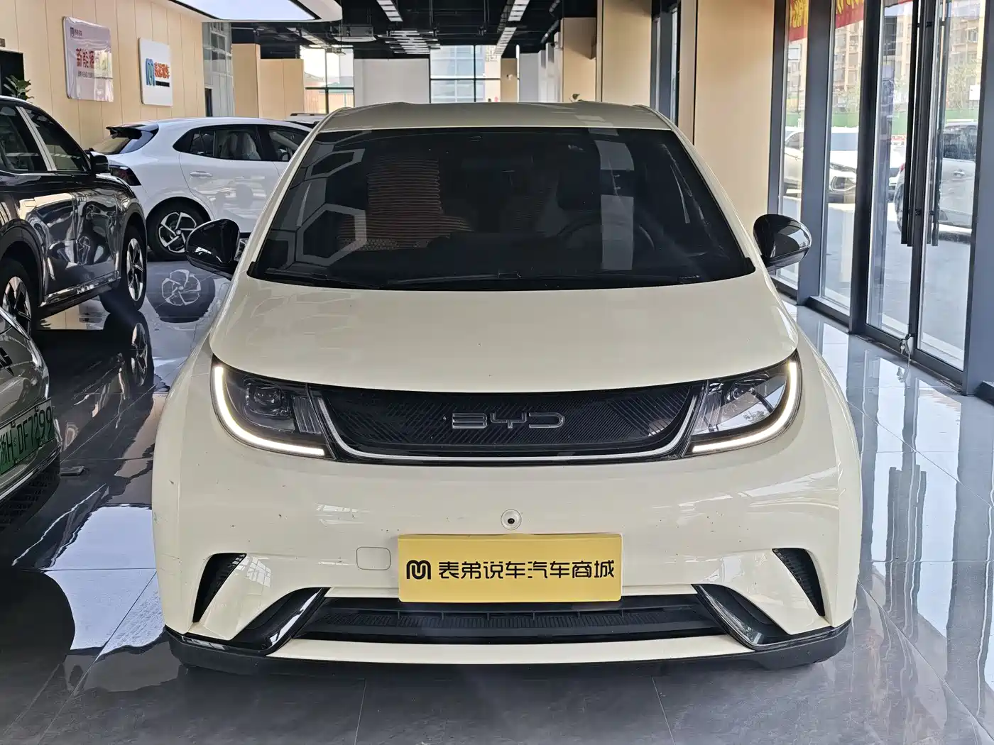 BYD Dolphin 2023 420km Fashion Edition фото 2