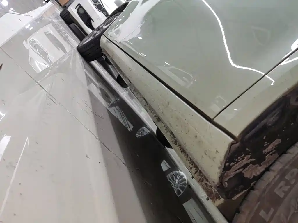 Ora White Cat 2021 2020 305km Luxury