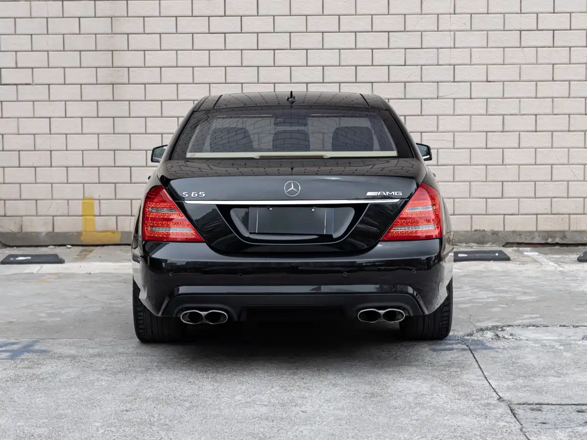 Mercedes-Benz S-Class AMG 2010 AMG S 65 фото 5