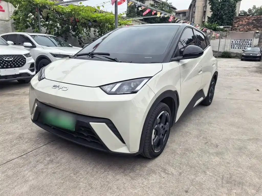 BYD Seagull 2024 Glory Edition 405km Soaring Edition фото 2