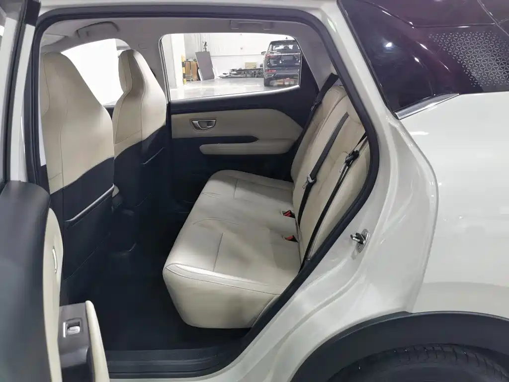 Wuling Motors Wuling Binguo PLUS 2025 2024 510km Range 5-seater