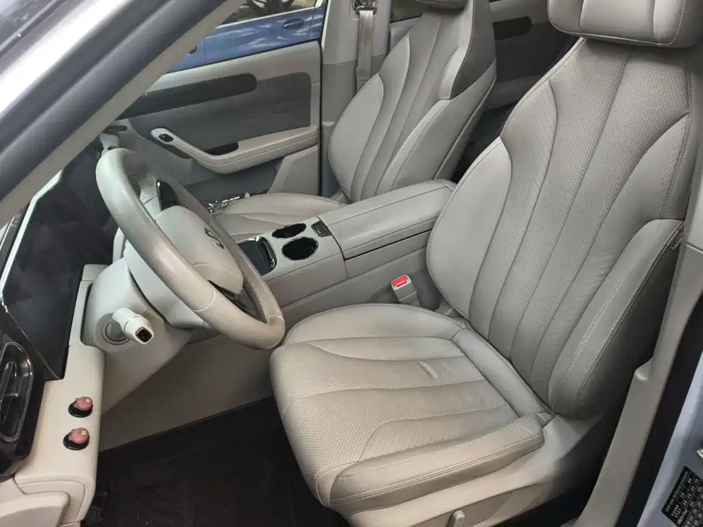 Leapmotor C11 2022 2021 Facelift Luxury Edition
