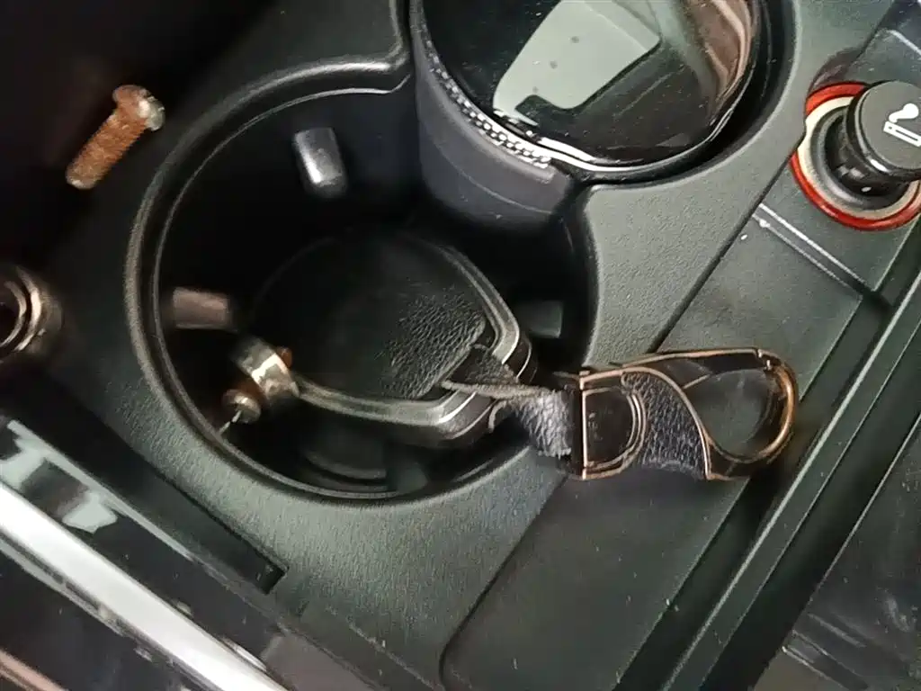 Hongqi HS5 2019 2.0T Smart Connect Enjoy Edition фото 9