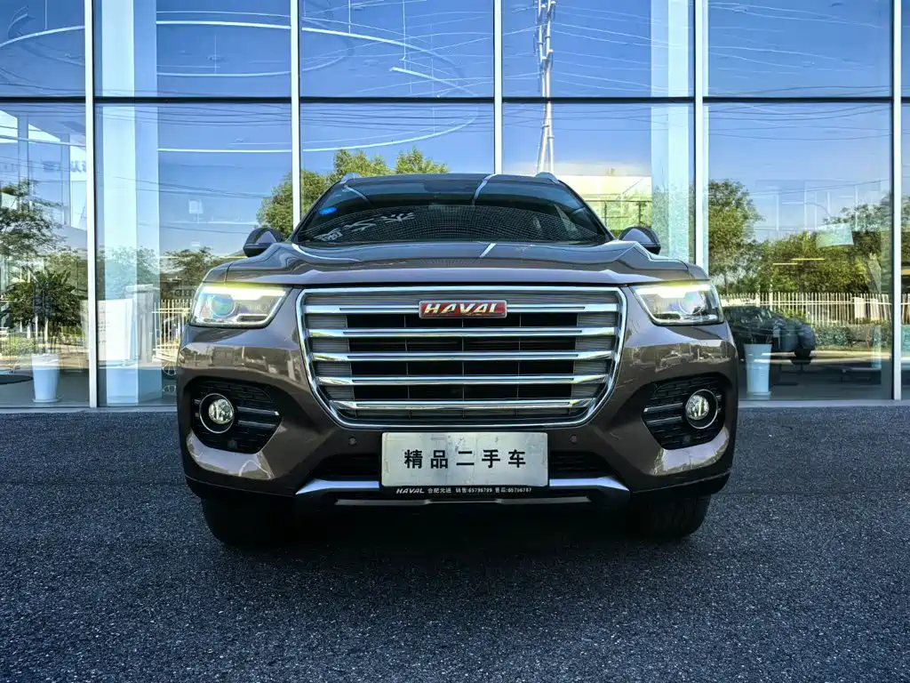 صورة 4 - Haval H6