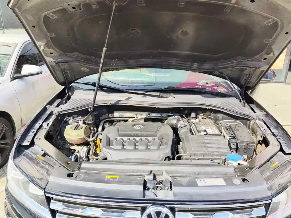 صورة 3 - Volkswagen Tiguan L