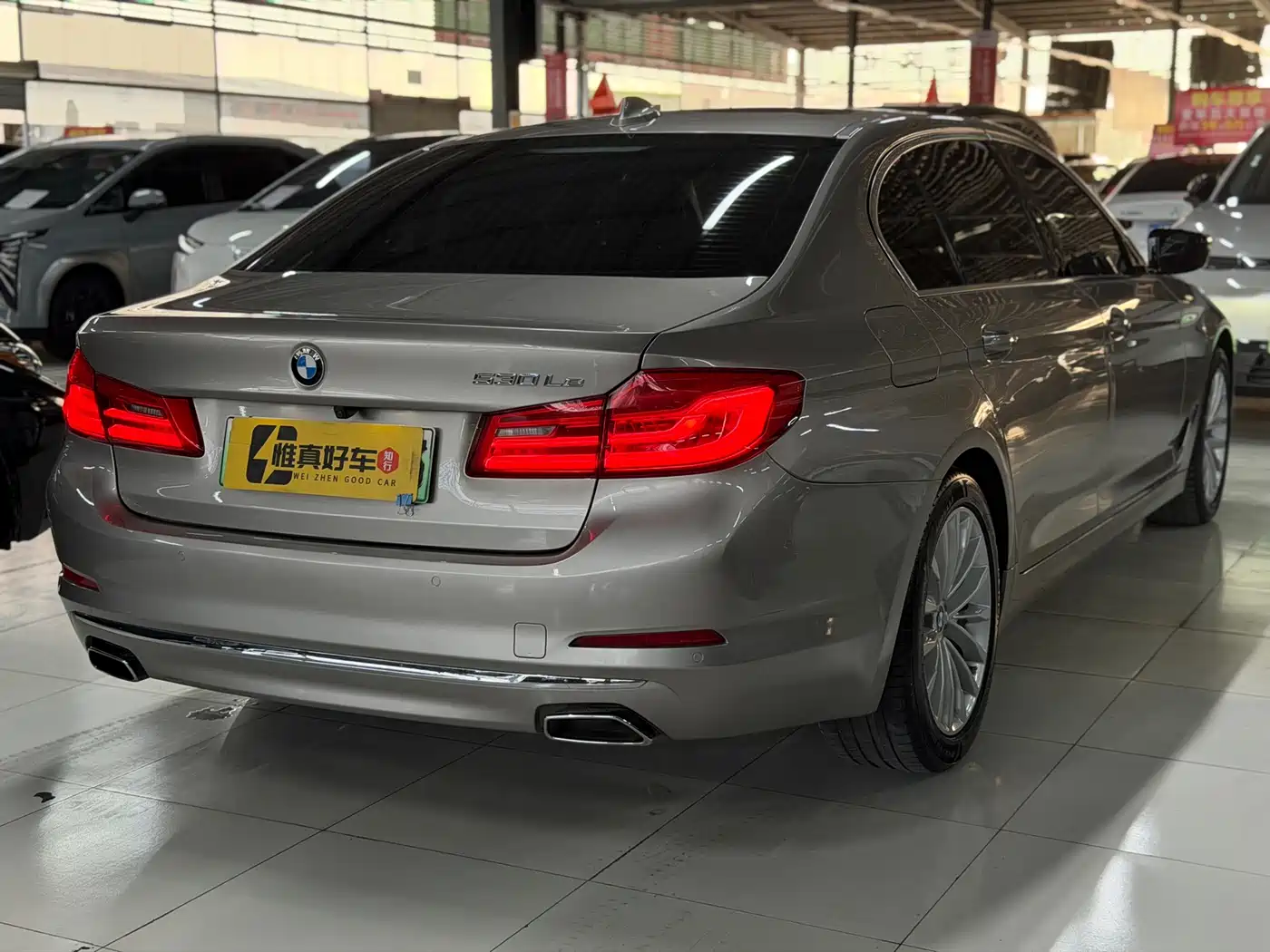 BMW 5 Series New Energy 2020 530Le Luxury Package фото 21