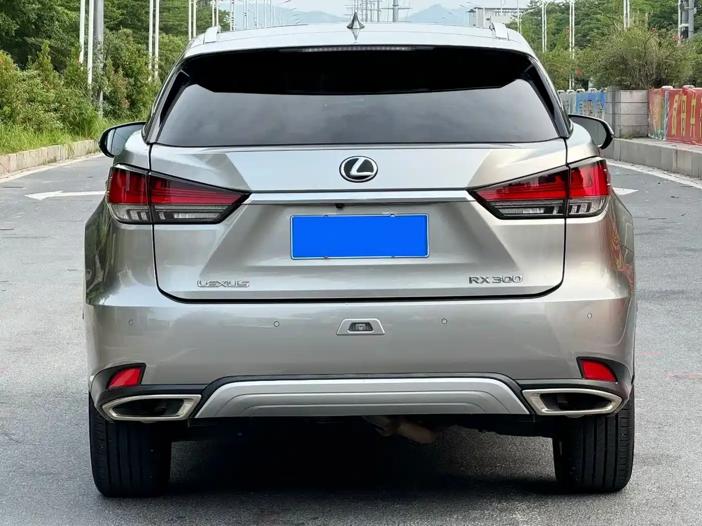 LEXUS RX