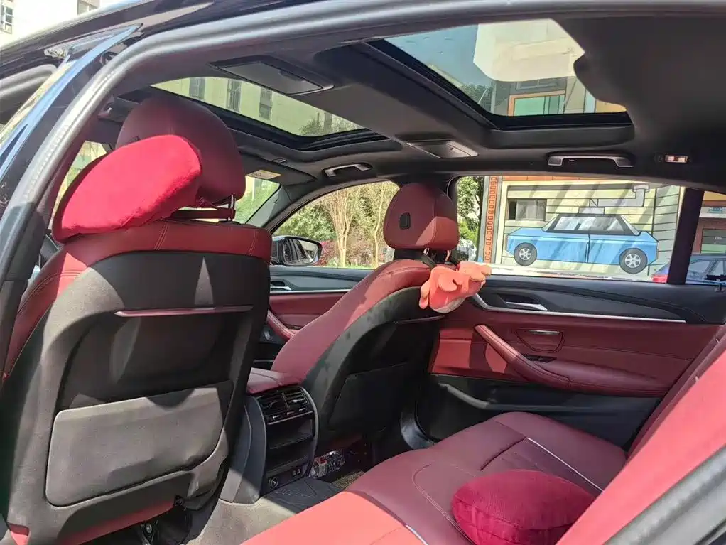 BMW 5 Series 2023 530Li Leading M Sport Package фото 8