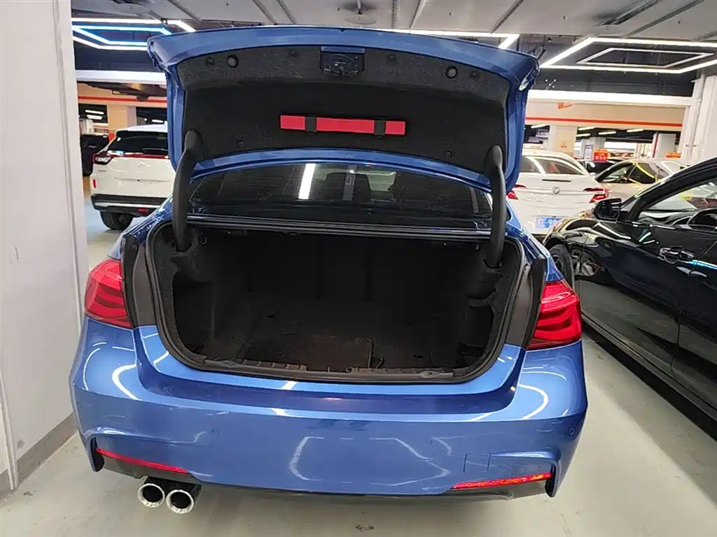 BMW 3 Series 2018 320Li Leading M Sport Package фото 19