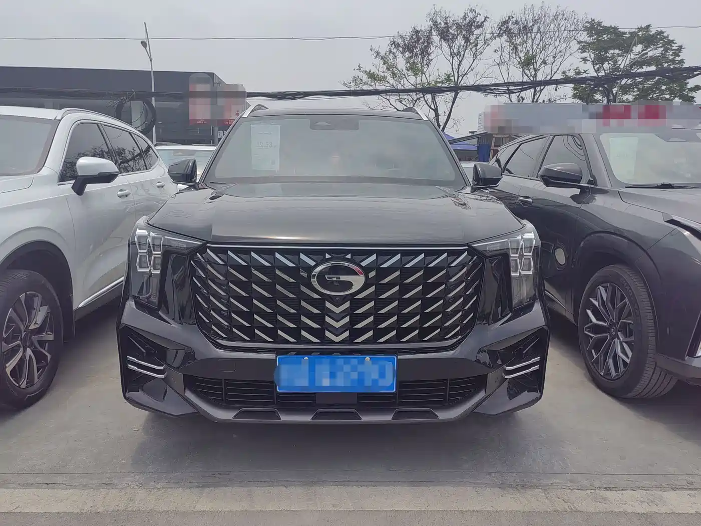 GAC Trumpchi Trumpchi GS8 2024 Navigator Series 2.0TGDI 2WD Luxury Smart Connect Edition фото 2